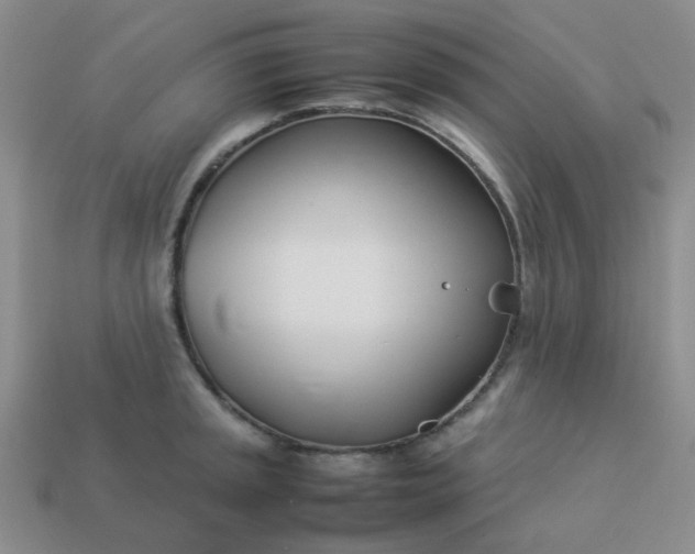 X0000114141045200910221521