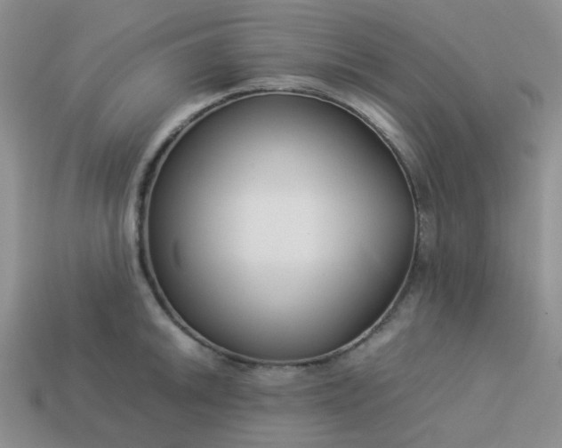 X0000114141046200910221521