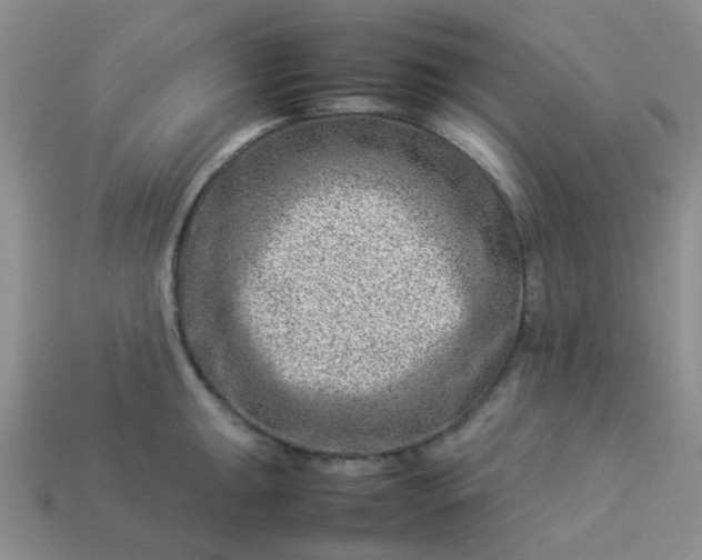 X0000114141047200910221521