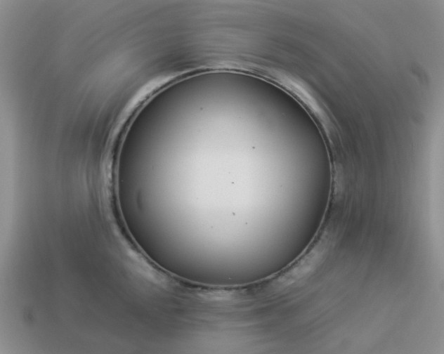 X0000114141048200910221521