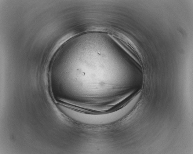 X0000114141050200910221521