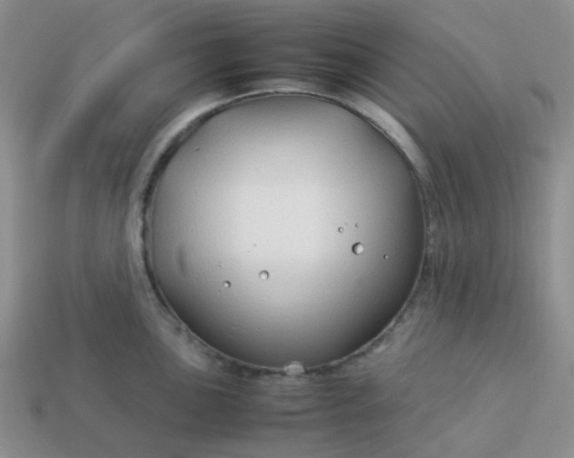 X0000114141051200910221521