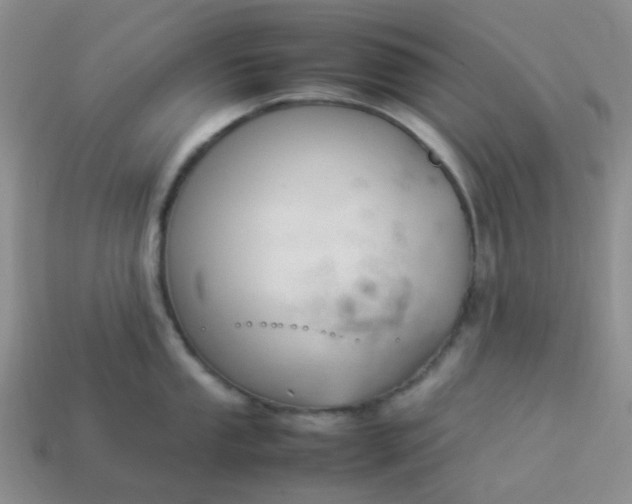 X0000114141053200910221521