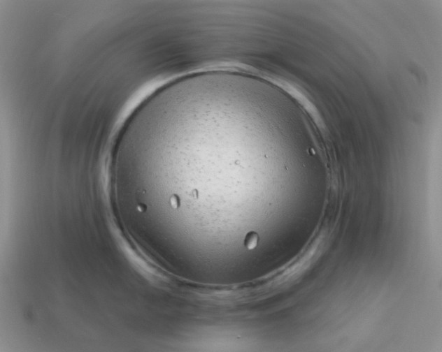 X0000114141054200910221521