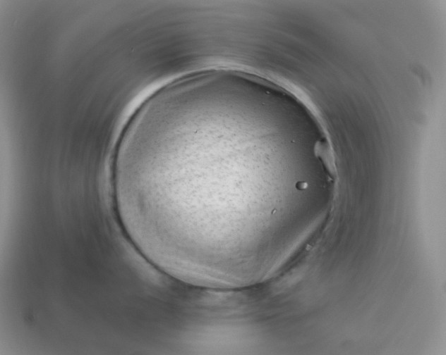 X0000114141056200910221521