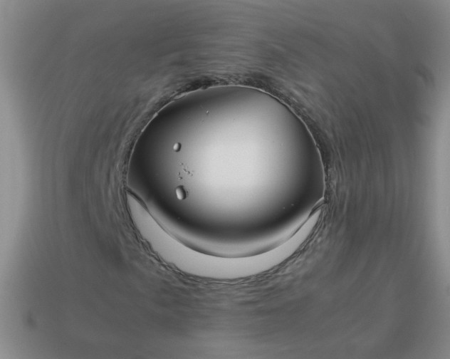 X0000114141057200910221520