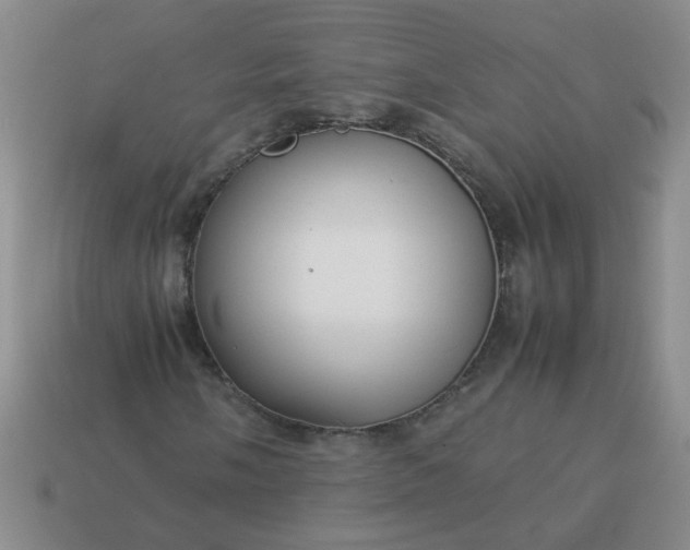 X0000114141058200910221520