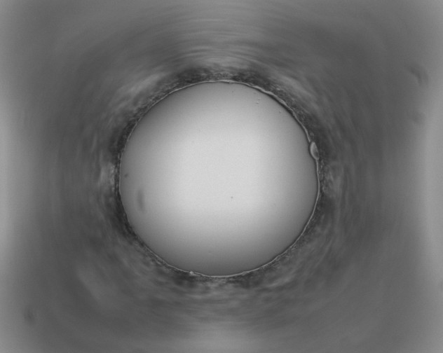 X0000114141061200910221520