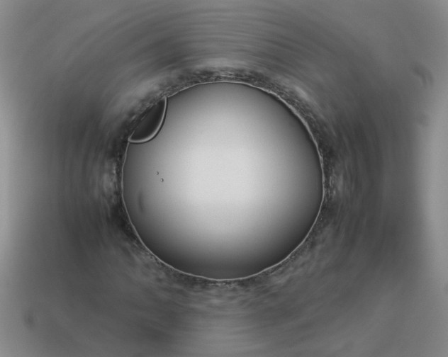 X0000114141062200910221520