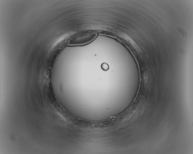 X0000114141064200910221520