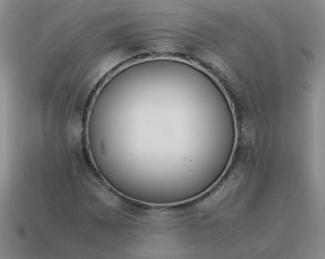 X0000114141065200910221520