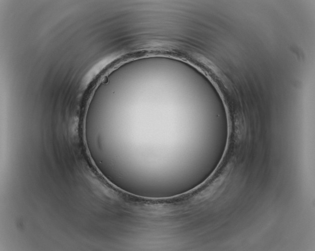 X0000114141066200910221520