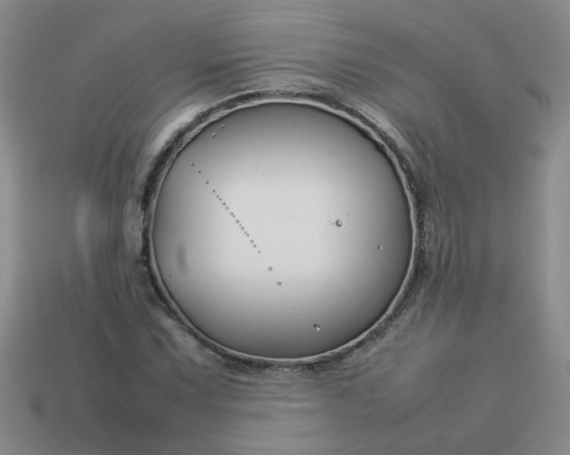 X0000114141067200910221520