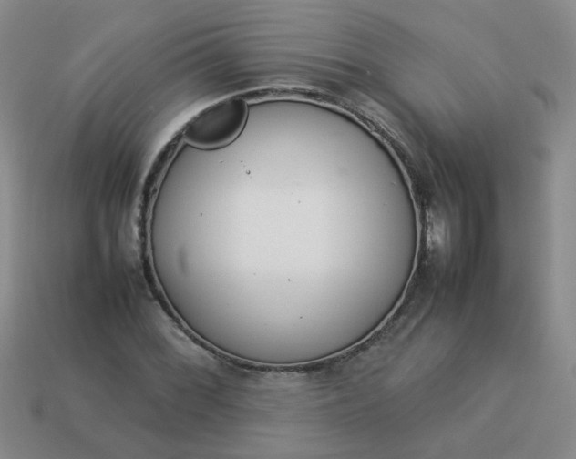 X0000114141068200910221520