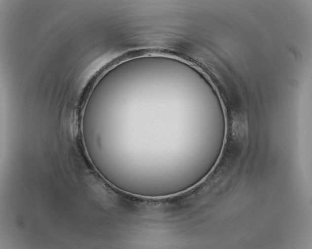 X0000114141069200910221520