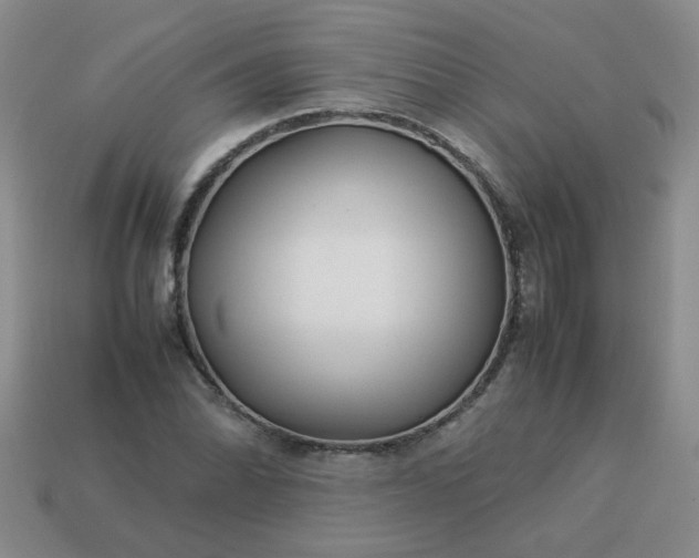 X0000114141070200910221520