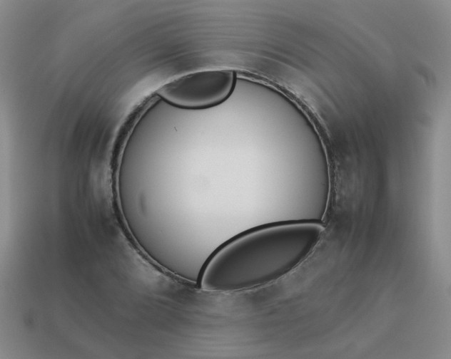 X0000114141072200910221520