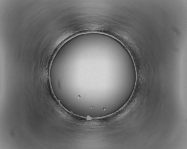 X0000114141073200910221520