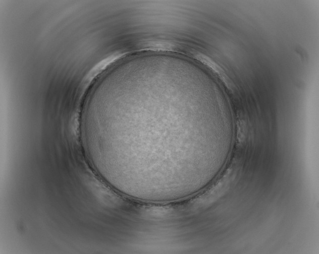 X0000114141074200910221520