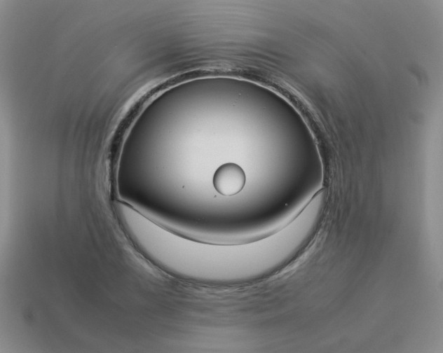 X0000114141075200910221520