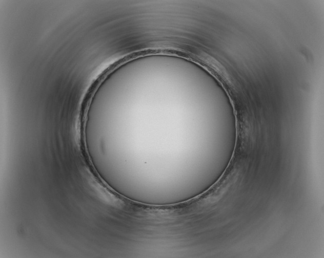 X0000114141076200910221520