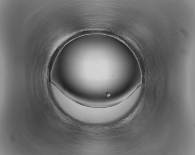 X0000114141077200910221520