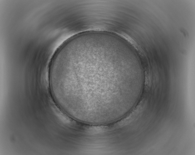 X0000114141078200910221520