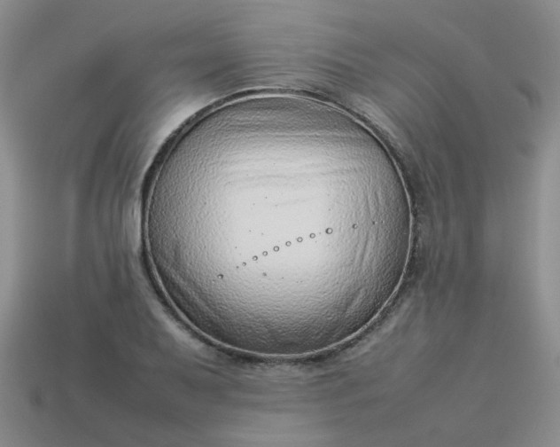 X0000114141079200910221520