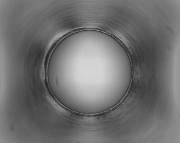 X0000114141080200910221520