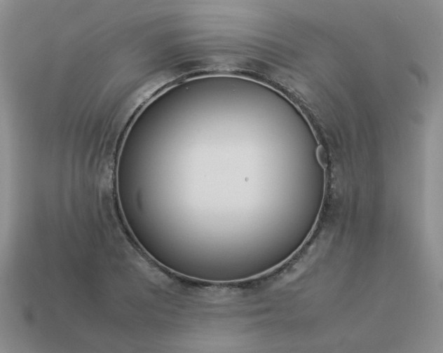 X0000114141081200910221520