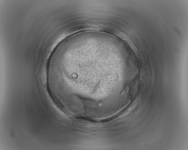 X0000114141083200910221520