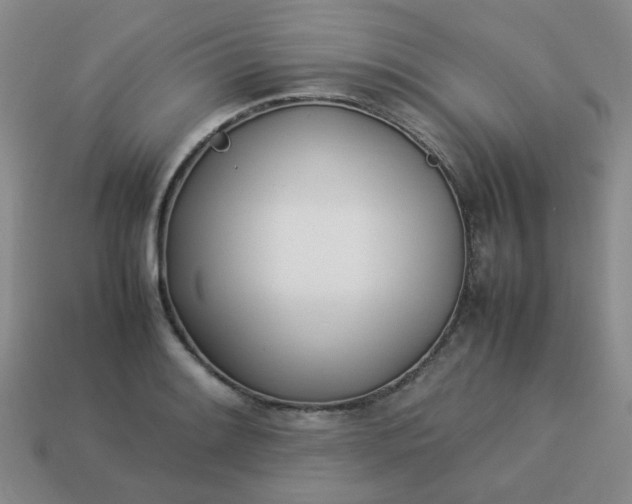 X0000114141084200910221520