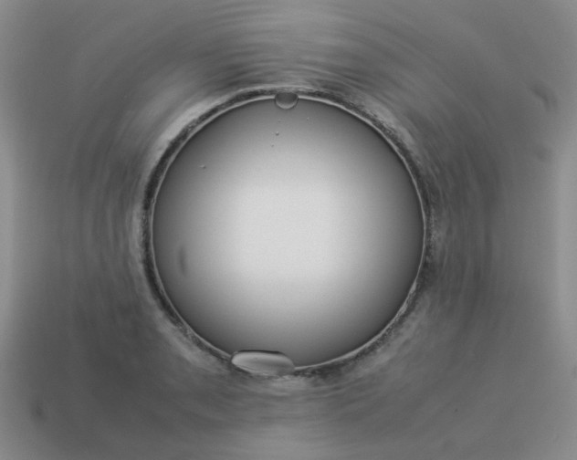 X0000114141085200910221520