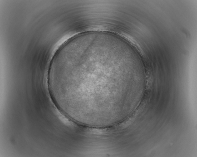 X0000114141086200910221520