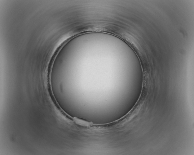 X0000114141087200910221520