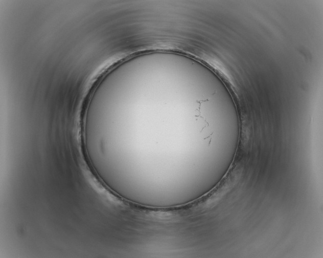 X0000114141088200910221520