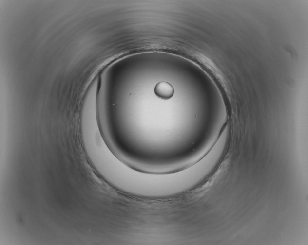 X0000114141089200910221520