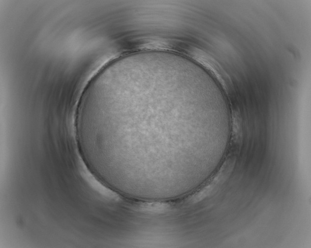 X0000114141090200910221520