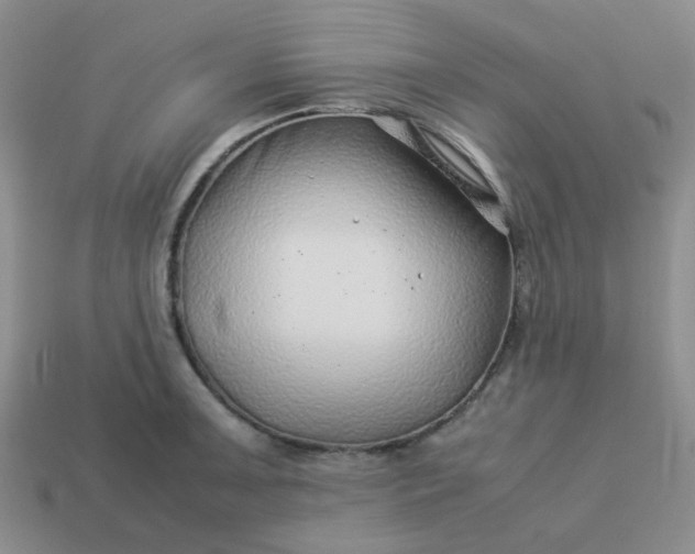 X0000114141091200910221520