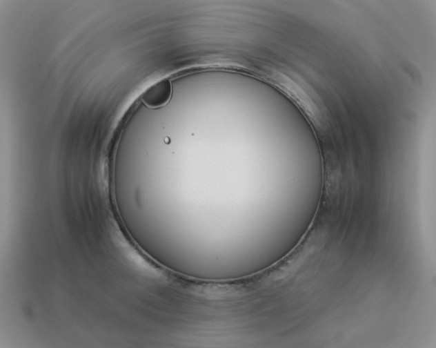 X0000114141092200910221520