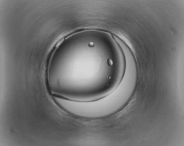 X0000114141093200910221520