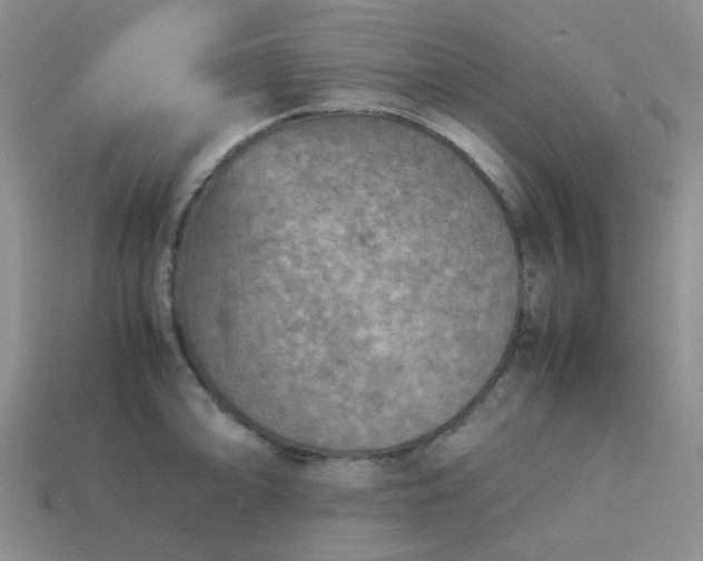 X0000114141094200910221520