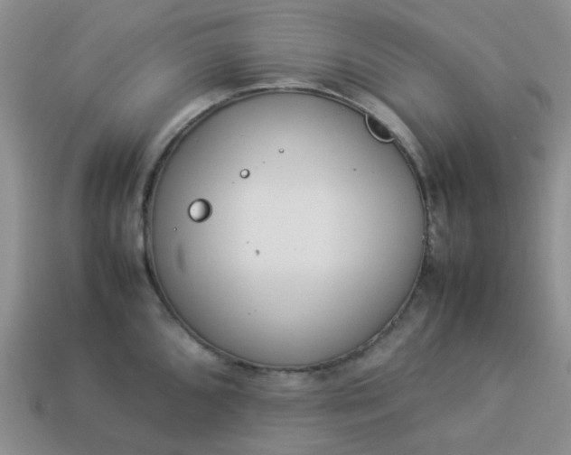 X0000114141096200910221520