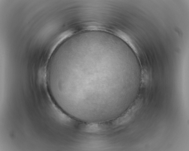 X0000114141098200910221520