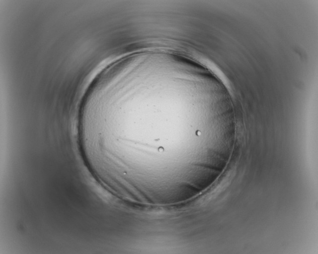 X0000114141099200910221520