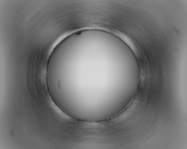 X0000114141100200910221520