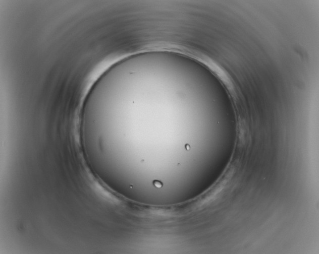 X0000114141102200910221520