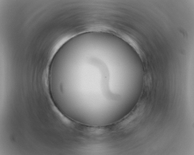 X0000114141103200910221520