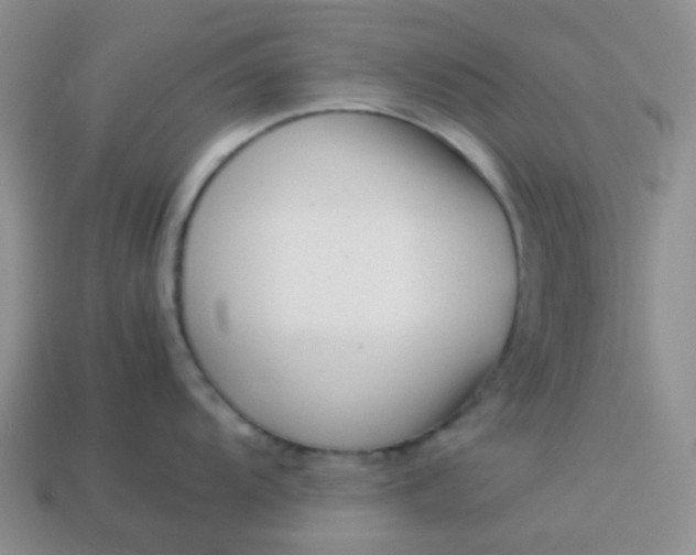 X0000114141104200910221520