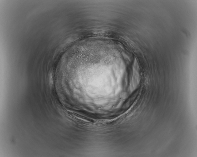 X0000114141106200910221519